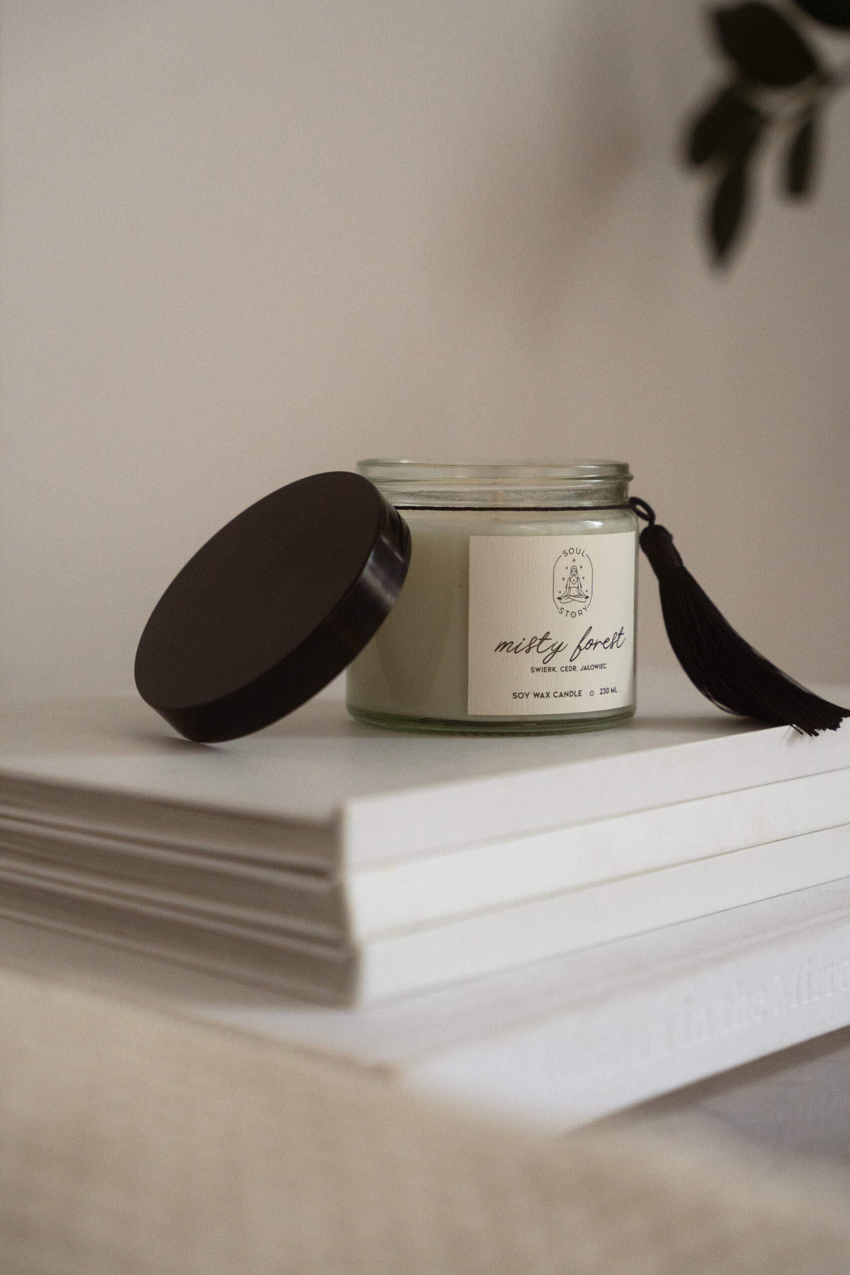 Świeca sojowa z drewnianym knotem MISTY FOREST
